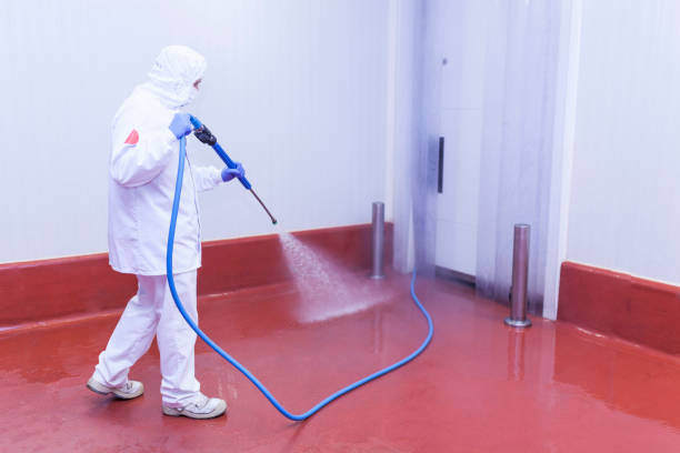 Best Solar Panel Cleaning  in Gasport, NY