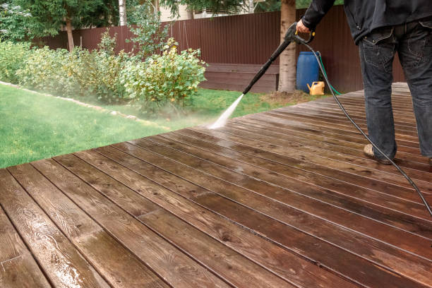 Best Animal Enclosure Cleaning  in Gasport, NY