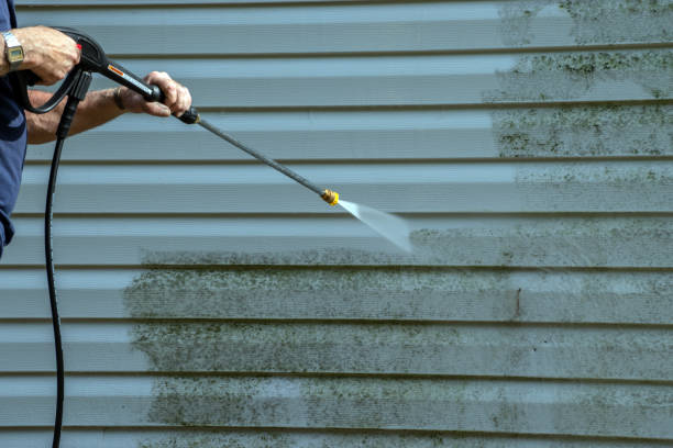 Best Paint Preparation  in Gasport, NY