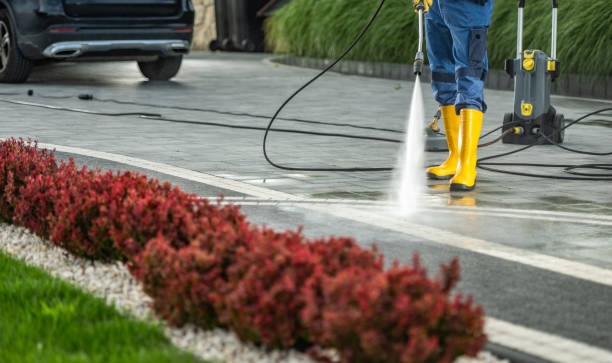 Professional Pressure Washing Services in Gasport, NY